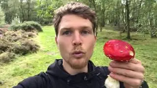 Spring water & mushrooms