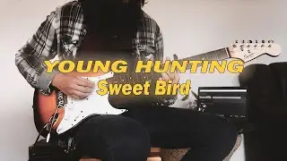 Sweet Bird - Young Hunting (Fingerstyle Cover)