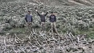 110 Antlers in 3 days! Antler Trader