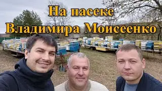 На пасеке Владимира Моисеенко /