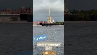 Виды на Неву в центре города 