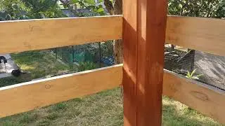 Сочи. Горное Лоо. Утро. +25°C. 19.06.2023г.©
