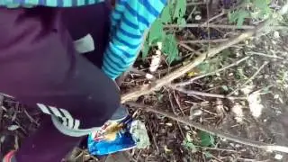 МАКС НОЛМАЛ - ПИДР !
