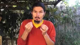 Reflux acide, feu digestif et stress...trop ou pas assez d'acide?  www.regenere.org