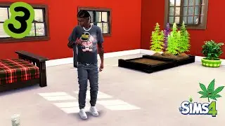 The Sims 4 - Roaches and Rats in the Trap! Rags to Dispensary! - #3 PC