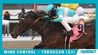 Mind Control - 2020 - The Toboggan