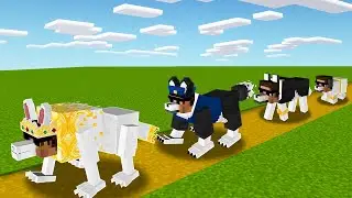 From to Birth to Death as a Dog in Minecraft..