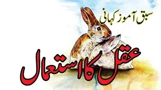 Akal ka istmal Moral Story in Urdu Hindi | Urdu Story | Urdu Kahaniya | Stories in Urdu | Bunty TV