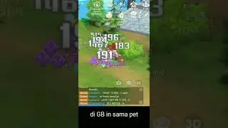 GB Priest with pet - Ragnarok Origin Global