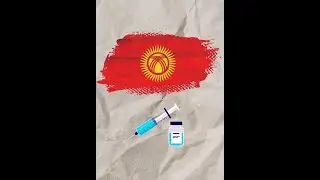 Кыргызстанга келген вакциналар кандай текшерүүдөн өтөт?