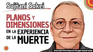 💥PLANOS Y DIMENSIONES EN EL MÁS ALLÁ - SOKEI