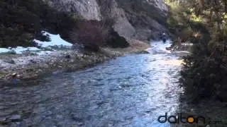 DaltonTeam LC8 Gon River