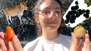 KÖYE GİTTİM| ÇOK DOĞAL BİR GÜN 🐮🍇🍎