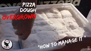 HOW TO USE NEAPOLITAN PIZZA DOUGH OVER GROW