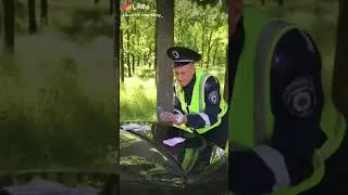 Гаишники кайфует