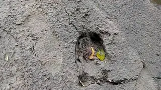 на рыбалке.