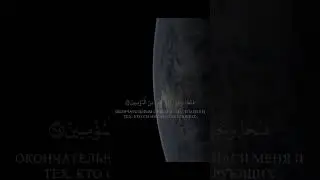 Шейх Ясир ад даусари