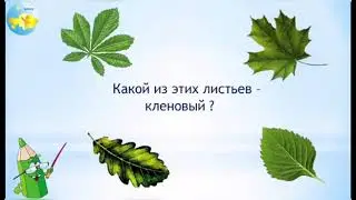 Ознакомление с окружающим миром. Группа предшкольной подготовки. ДОД.