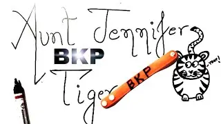 aunt jennifer's tiger class 12 | bkp