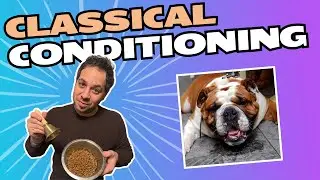 Why Pavlov’s Dogs Still Matter (More Than Ever)