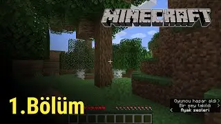 Yeni Bir Macera; Minecraft (1. Bölüm Türkçe)