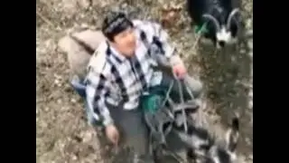 Ак уйдогу койлорго арналат.