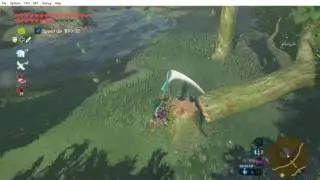 Issues with CEMU 1.7.4C (Amd Cards)