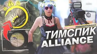 ТИМСПИК ALLIANCE