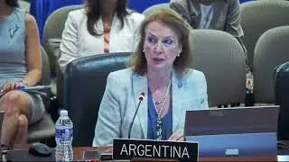 Diana Mondino DENUNCIA el proceso electoral en Venezuela en la OEA - Intervención completa