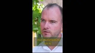 Megoldást jelenthetnek az új szőlőfajták