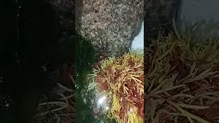 А КТО ЗДЕСЬ 👀👀👀