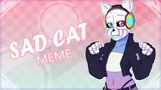 SAD CAT DANCE // MEME