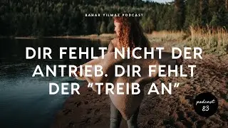 Dir fehlt nicht der Antrieb. Dir fehlt der 