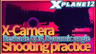 X-Plane 12, X-Camera - Making Film / Reshade DOF, Cinematic Replay