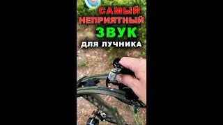 Самый неприятный звук для лучника Slayer 