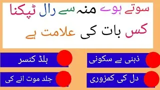 Islamic Questions Answers - Islami Sawal Jawabc__ Paheliyan - Urdu Quiz - Islamic GK In Urdu 2024