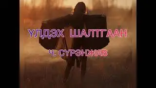 ҮЛДЭХ ШАЛТГААН