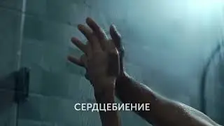 Керамин новинки