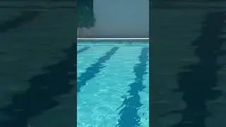 Freestyle