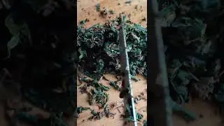 Иван чай, от провяливания до сушки