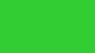 Lime Green Screen | 1 HOUR of LIME GREEN | 60 Minutes of Lime Green