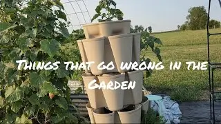 Garden Failures