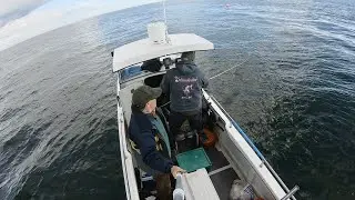 I Get Out Fishing on the Ocean again! & What’s going on in the woodland ?