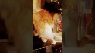 можешь листать