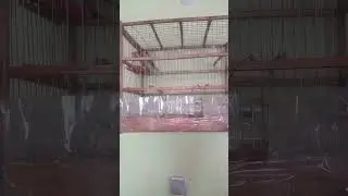 Жорик балабол !!!