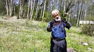 Planting Trees, Part 1: Conifers | with Michael Dolan of Burnt Ridge Nursery