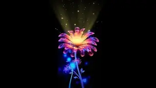 Neon flower effect black screen video | Colorful flower black screen effect | Flower black screen