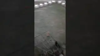 Villa e Bajram Habibi Fshati Vermicë Kumuna Malishevë