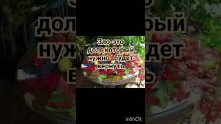 Зло-это долг #quran #ислам #коран #суры #islam #аяты