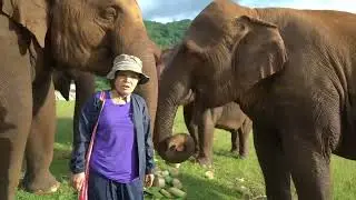 How S4EGlobal supports Save Elephant Foundation with Lek Chailert